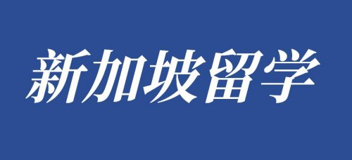 新加坡中小学教育一直走在世界前列，政府学校凭什么受万众青睐？