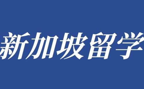 新加坡的CCA才真正的素质教育！