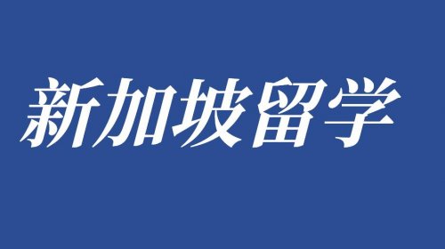 2023年最新新加坡留学签证办理攻略流程