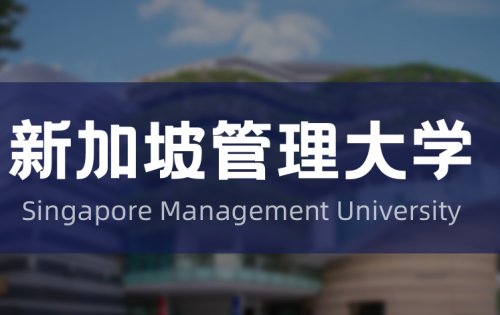 东北财经大学-新加坡管理大学硕士联合培养项目