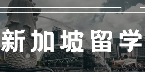 新加坡打工奇遇记：揭秘谁才是“亚洲四小龙”的职场幸运星？