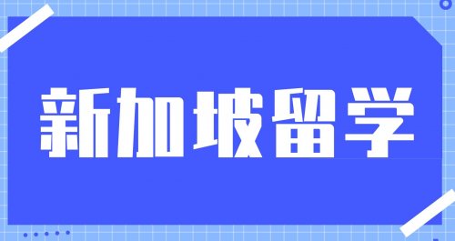 新加坡生活乐翻天：实用小贴士带你玩转当地生活，轻松融入不再难！