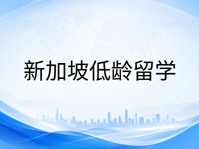 新加坡低龄留学路径全景对比：国际学校、私立预科与政府学校如何选